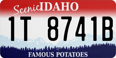 ID license plate 1T8741B