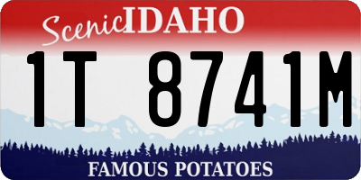 ID license plate 1T8741M