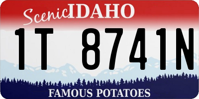 ID license plate 1T8741N