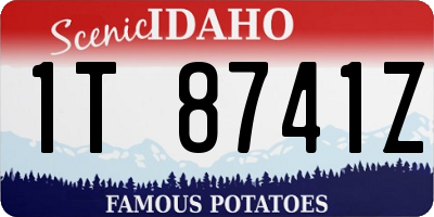 ID license plate 1T8741Z