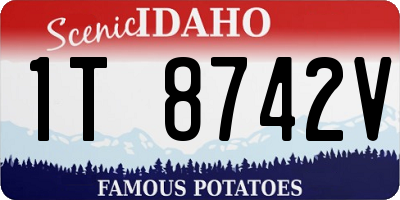 ID license plate 1T8742V