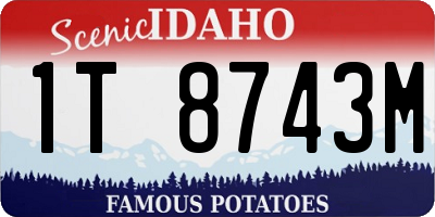 ID license plate 1T8743M