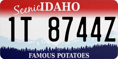ID license plate 1T8744Z