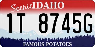 ID license plate 1T8745G