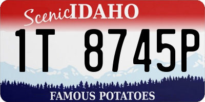 ID license plate 1T8745P
