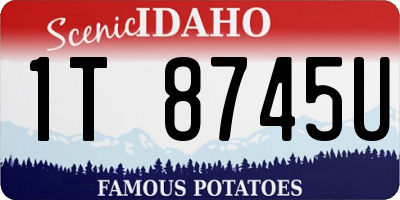 ID license plate 1T8745U