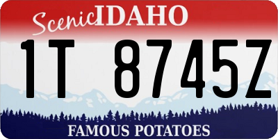 ID license plate 1T8745Z