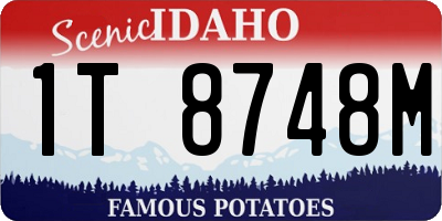ID license plate 1T8748M