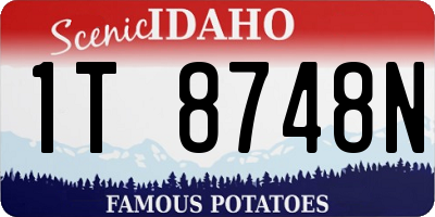 ID license plate 1T8748N