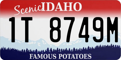 ID license plate 1T8749M