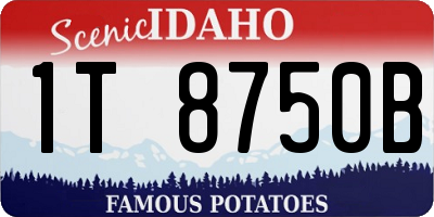 ID license plate 1T8750B