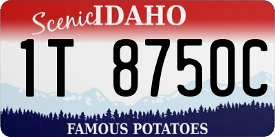 ID license plate 1T8750C