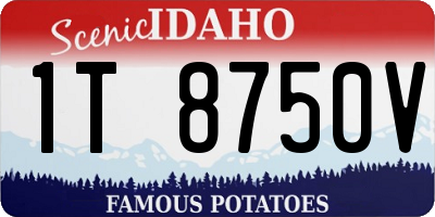 ID license plate 1T8750V