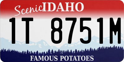 ID license plate 1T8751M
