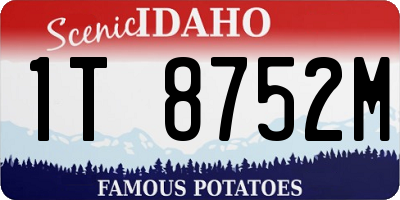 ID license plate 1T8752M