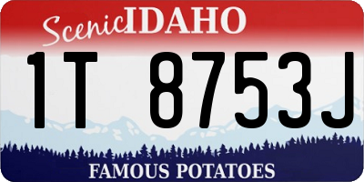 ID license plate 1T8753J