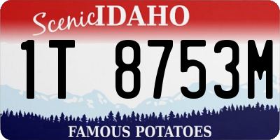 ID license plate 1T8753M