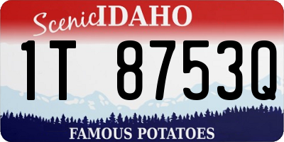 ID license plate 1T8753Q