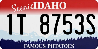 ID license plate 1T8753S
