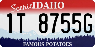 ID license plate 1T8755G