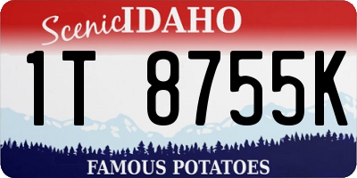 ID license plate 1T8755K