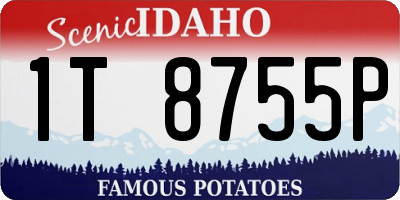 ID license plate 1T8755P