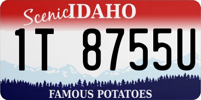 ID license plate 1T8755U