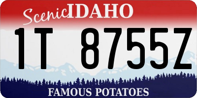 ID license plate 1T8755Z