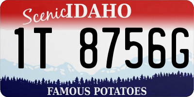 ID license plate 1T8756G