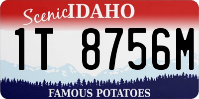 ID license plate 1T8756M