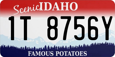 ID license plate 1T8756Y