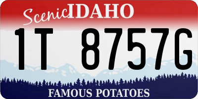 ID license plate 1T8757G