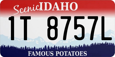 ID license plate 1T8757L