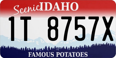 ID license plate 1T8757X