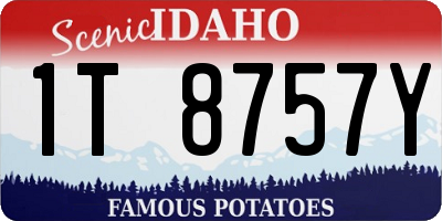 ID license plate 1T8757Y