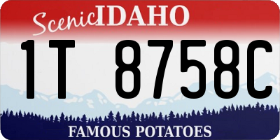 ID license plate 1T8758C
