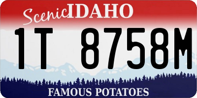 ID license plate 1T8758M