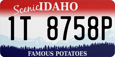 ID license plate 1T8758P