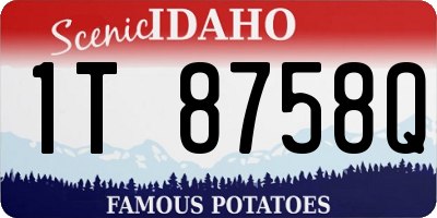 ID license plate 1T8758Q