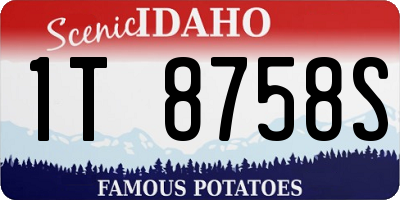 ID license plate 1T8758S