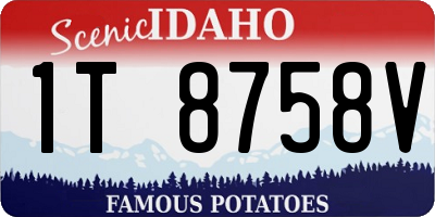 ID license plate 1T8758V