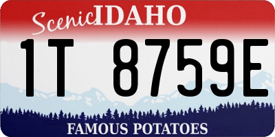 ID license plate 1T8759E