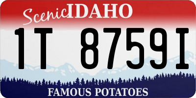 ID license plate 1T8759I