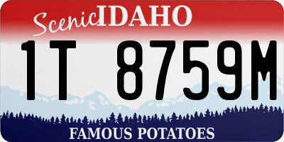 ID license plate 1T8759M