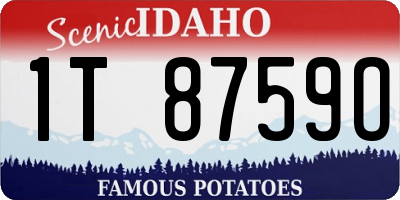 ID license plate 1T8759O