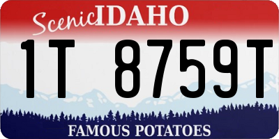 ID license plate 1T8759T