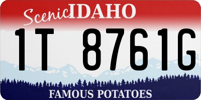 ID license plate 1T8761G
