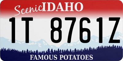 ID license plate 1T8761Z