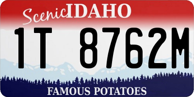 ID license plate 1T8762M
