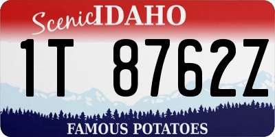 ID license plate 1T8762Z